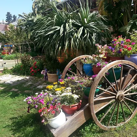 Merit & Casino 5* Lefkoşa