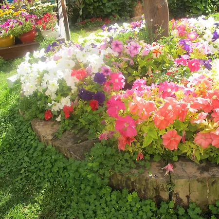 Hotel Merit & Casino 5*