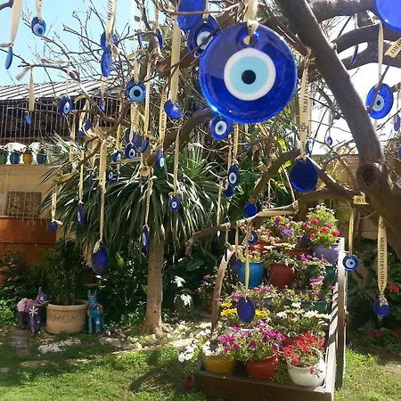 酒店 梅里特乐夫科萨酒店 5*