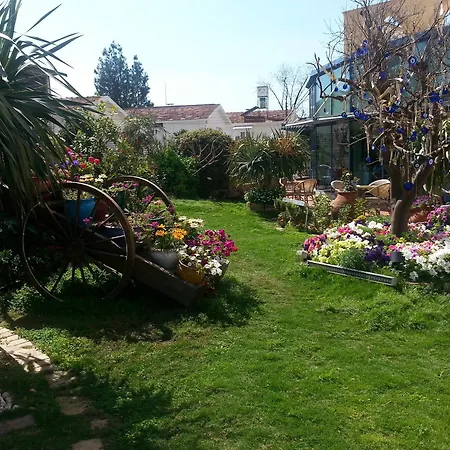 酒店 梅里特乐夫科萨酒店 5*