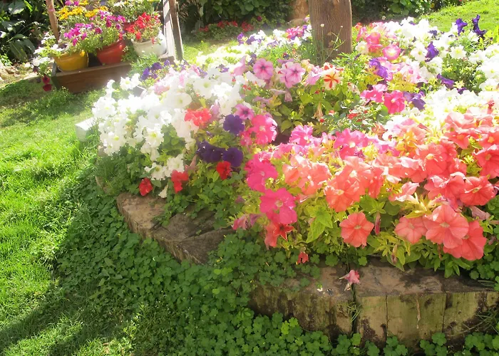 Ξενοδοχείο Merit & Casino 5*