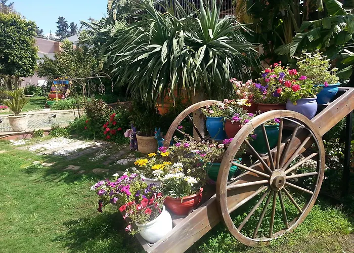 Merit & Casino 5* ニコシア