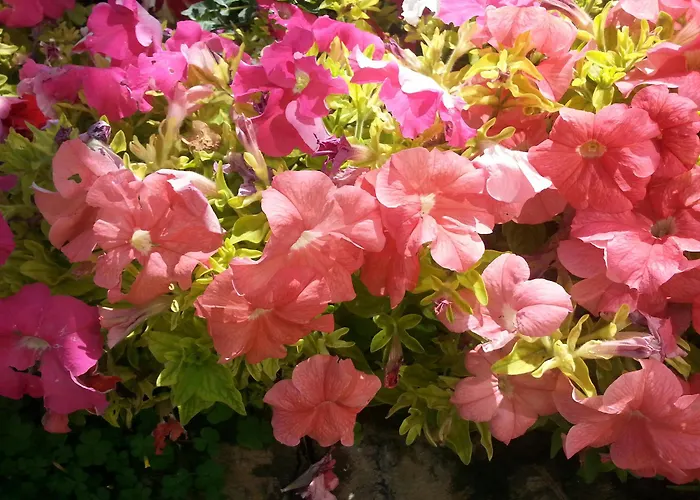 Hotel Merit & Casino 5*